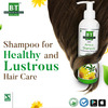 B&T Arnica Shampoo For Healthy Hair- 250 Ml (Pack Of 2)