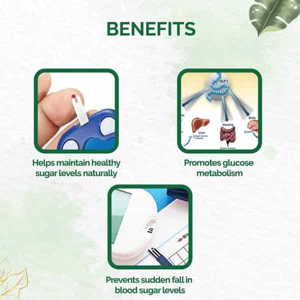 Dr. Vaidya's Diabex - 30 Capsules