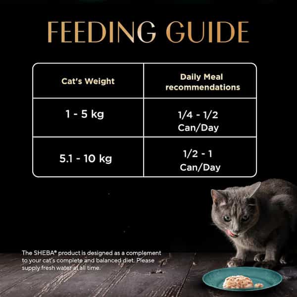 Sheba Deluxe Premium Adult (1+ Years) Wet Cat Food | Tuna And Prawns In Gravy | 85 G (Pack Of 24)