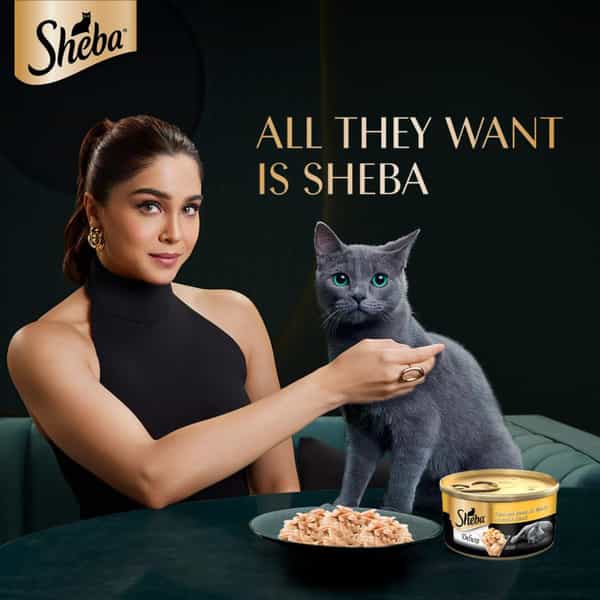 Sheba Deluxe Premium Adult (1+ Years) Wet Cat Food | Tuna And Prawns In Gravy | 85 G (Pack Of 24)