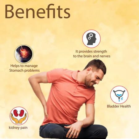 Cipzer Falasifa 60 Capsules | Supports Mens Vitality| Energy & Urinary Wellness