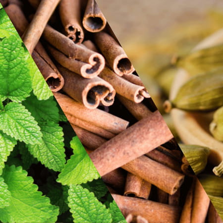 Staycool Breath Freshener Spray - Spearmint Cinnamon Cardamom - Pack Of 3