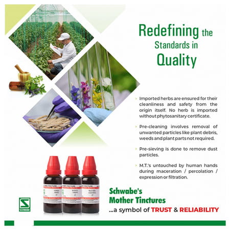 Dr. Willmar Schwabe India Apocynum Cannabinum Mother Tincture Q 30 Ml