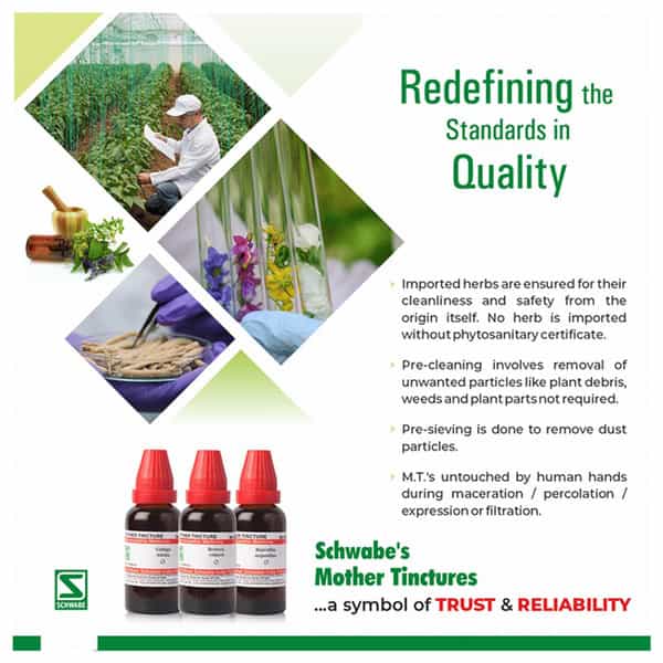 Dr. Willmar Schwabe India Apocynum Cannabinum Mother Tincture Q 30 Ml