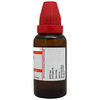 Dr. Willmar Schwabe India Apocynum Cannabinum Mother Tincture Q 30 Ml
