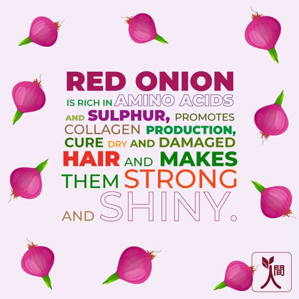 Ningen Onion Hair Conditioner Enriched With Jojoba And Argan Oil - 100G