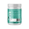 Purefoods Pf Rice Protein Chocolate Flavour - 360G