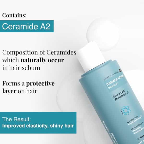 Bare Anatomy Expert Damage Repair Shampoo To Repair And Strengthen Brittle & Weak Hair 250 Ml