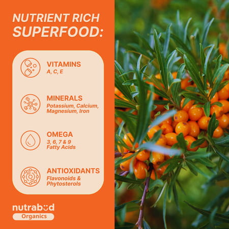 Nutrabud Organics Sea Buckthorn Berry Juice | Vitamin C | Omega 3 | 6 | 7 | 9 & Antioxidants | 500ml