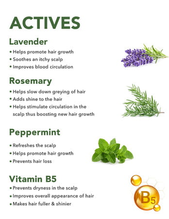 Skivia Hair Fall Control Shampoo With Vitamin B5 & Tea Tree Oil - 300ml|Curbs Hair Fall & Breakage