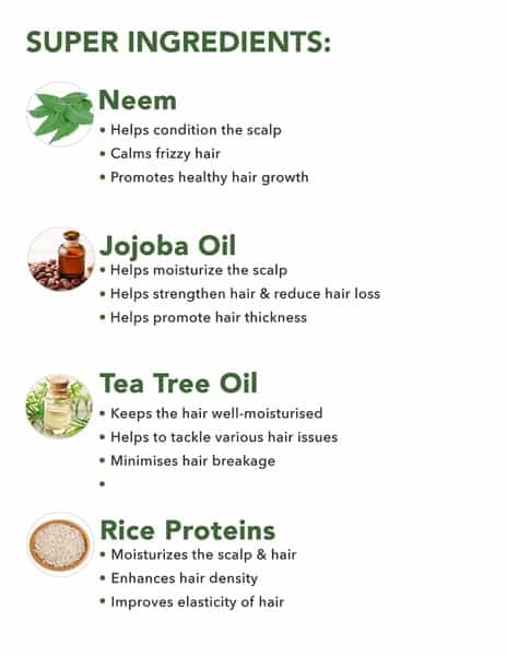 Skivia Hair Fall Control Shampoo With Vitamin B5 & Tea Tree Oil - 300Ml|Curbs Hair Fall & Breakage