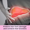 Cipzer Sikanjbin Bazoori | Supports Liver Health| Digestion & Urinary Comfort
