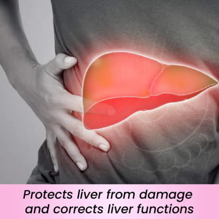 Cipzer Sikanjbin Bazoori | Supports Liver Health| Digestion & Urinary Comfort