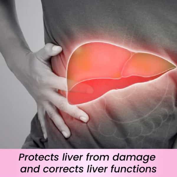 Cipzer Sikanjbin Bazoori | Supports Liver Health| Digestion & Urinary Comfort