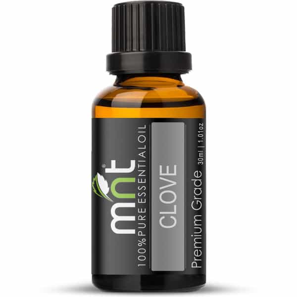 Mnt Clove Essential Oil (30Ml) Pure Natural Aromatherapy & Therapeutic Grade