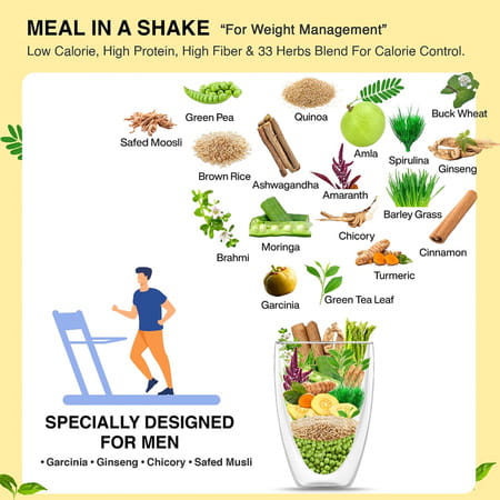 Vegan Greens Men Diet Meal In A Shake With Ayurvedic Herbs- Meal Replacement Shake (1 Kg, Chocolate)