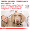 Royal Canin Veterinary Diet Canine Gastrointestinal Dry Food 2 Kg