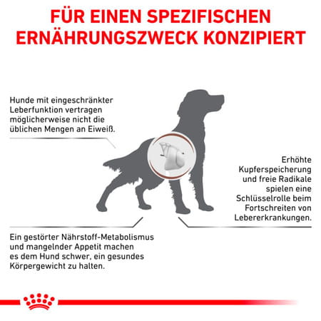 Royal Canin Veterinary Diet Canine Gastrointestinal Dry Food 2 Kg