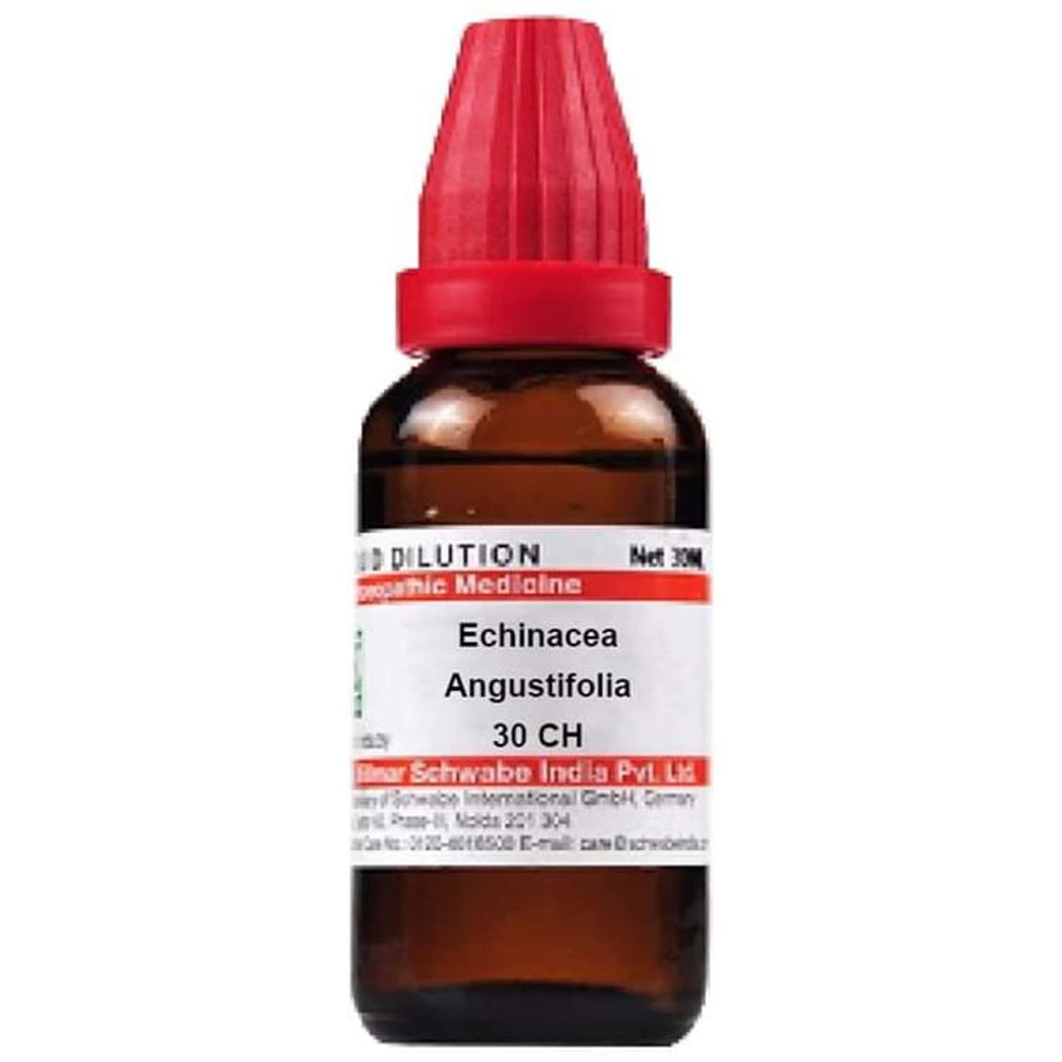 Dr. Willmar Schwabe India Echinacea Angustifolia Dilution 30 Ch 30 Ml
