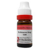 Dr. Reckeweg Echinacea Ang Dilution 10M Ch 11 Ml