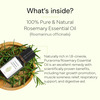 Puraroma Rosemary Essential Oil - 10 Ml