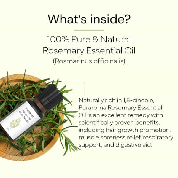 Puraroma Rosemary Essential Oil - 10 Ml