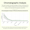 Puraroma Rosemary Essential Oil - 10 Ml