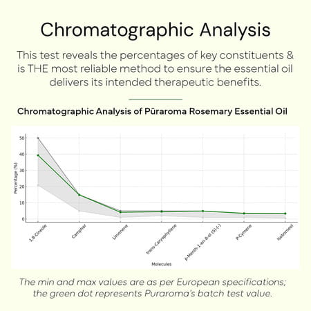 Puraroma Rosemary Essential Oil - 10 Ml