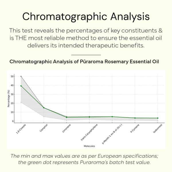 Puraroma Rosemary Essential Oil - 10 Ml