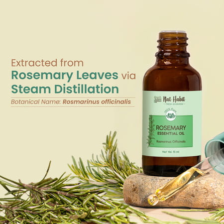 Nat Habit Pure Rosemary Essential Oil For Women & Men | Hair Growth | Hair Fall & Acne | 15ml