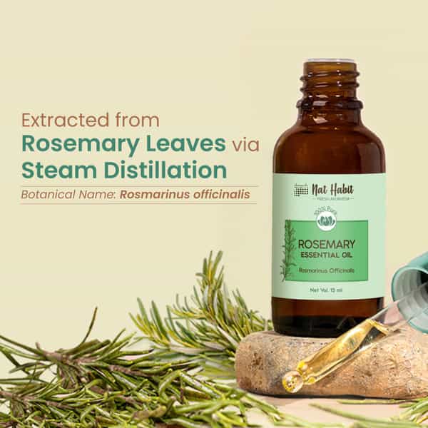 Nat Habit Pure Rosemary Essential Oil For Women & Men | Hair Growth | Hair Fall & Acne | 15Ml