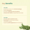 Nat Habit Pure Rosemary Essential Oil For Women & Men | Hair Growth | Hair Fall & Acne | 15Ml