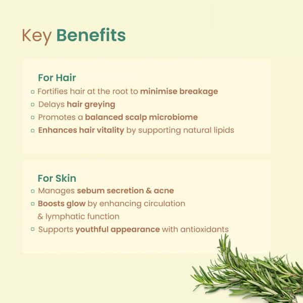 Nat Habit Pure Rosemary Essential Oil For Women & Men | Hair Growth | Hair Fall & Acne | 15Ml