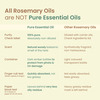 Nat Habit Pure Rosemary Essential Oil For Women & Men | Hair Growth | Hair Fall & Acne | 15Ml