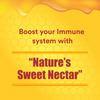 Baidyanath Asli Ayurved Honey I Natural Immunity Booster I Pure Honey I (500Gm)