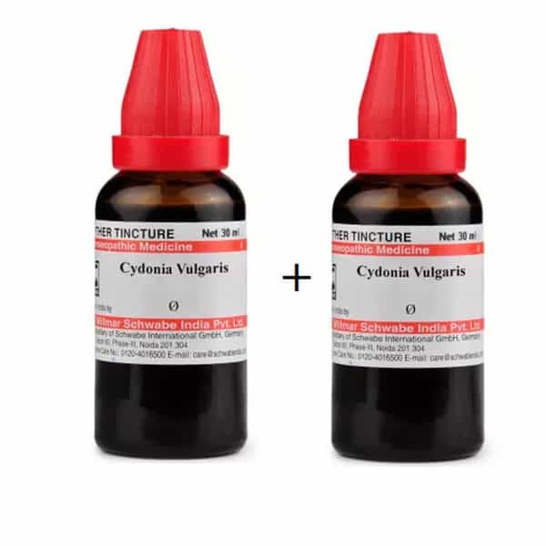 Dr. Willmar Schwabe India Cydonia Vulgaris Mother Tincture Q Pack Of 2