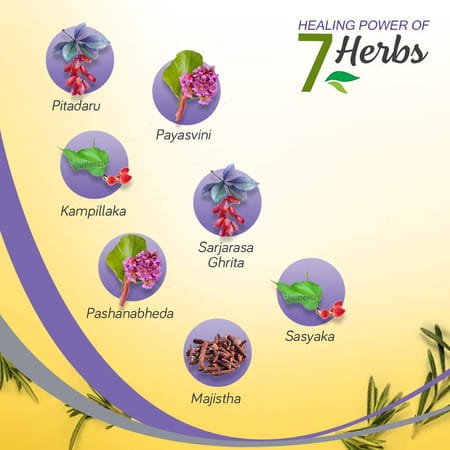 Krack Heel Repair | Ayurvedic Foot Care Cream | 25 Gm | Pack Of 2