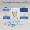 The Face Shop Dr.belmeur Clarifying Spot Soothing Patches