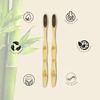 Imvelo Bamboo Toothbrush|Biodegradable, Eco-Friendly, Charcoal Activated Soft Bristles|Adult, 6 Pcs