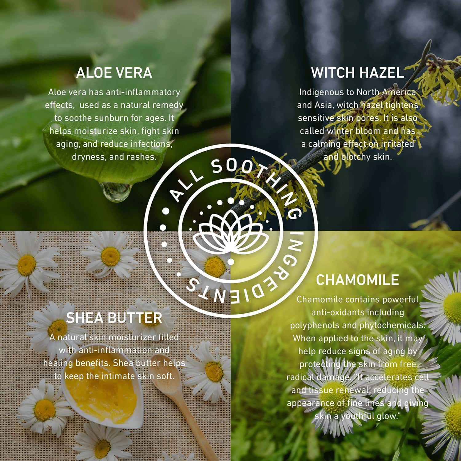 Buy SVISH ON THE GO HAIR REMOVAL SPRAY FOR WOMEN PACK OF 1 (200ML