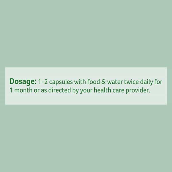 Organic India Neem - 60 Capsules