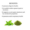 Bixa Botanical Peppermint Powder(Mentha Piperita), For Healthy Digestion & Metabolism Wellness(200g)