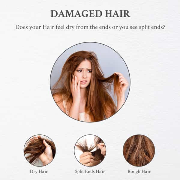 Moroccan Argan Oil Hair Conditioner (200Ml) Pack Of 2