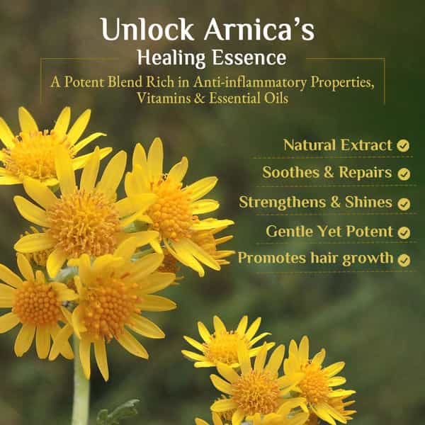 Shampoo With Arnica 100 Ml Pack Of 4