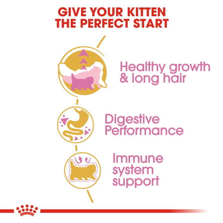 Royal Canin Persian Kitten Food | 1 Kg | Dry Food