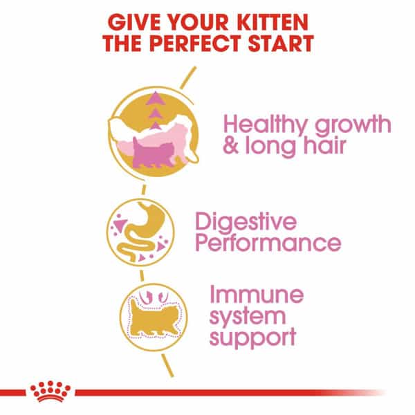 Royal Canin Persian Kitten Food | 1 Kg | Dry Food