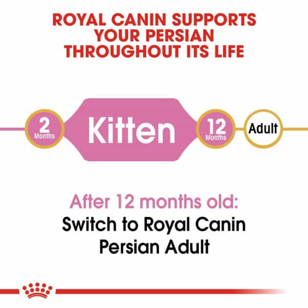 Royal Canin Persian Kitten Food | 1 Kg | Dry Food
