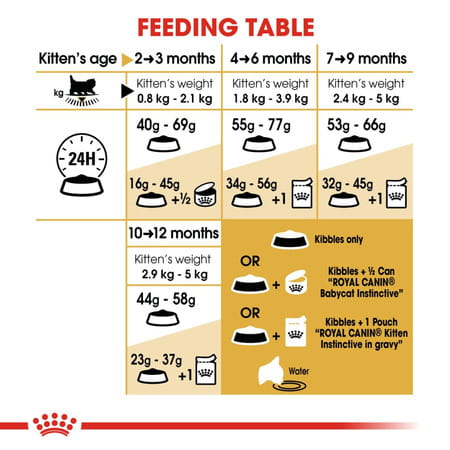 Royal Canin Persian Kitten Food | 1 Kg | Dry Food