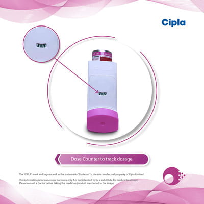 Budecort 100mcg Box Of 200md Metered Dose Inhaler