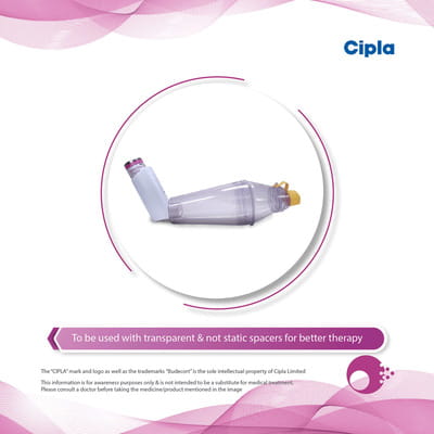 Budecort 100mcg Box Of 200md Metered Dose Inhaler